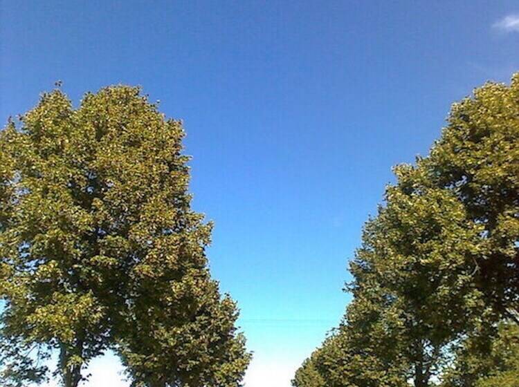 酒店 Camping La Croix Badeau Mobilehomes