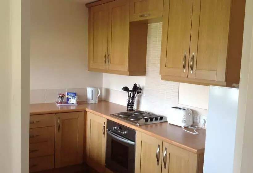 Pretty Properties Tillage Green