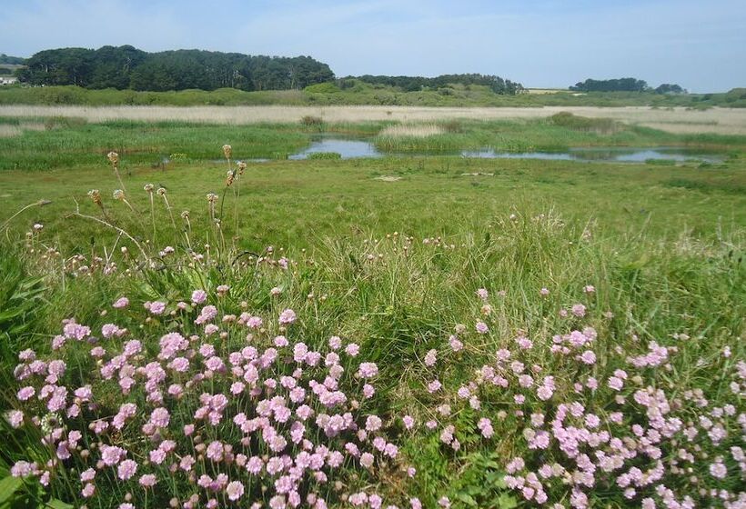 ホテル Mounts Bay Caravan Park