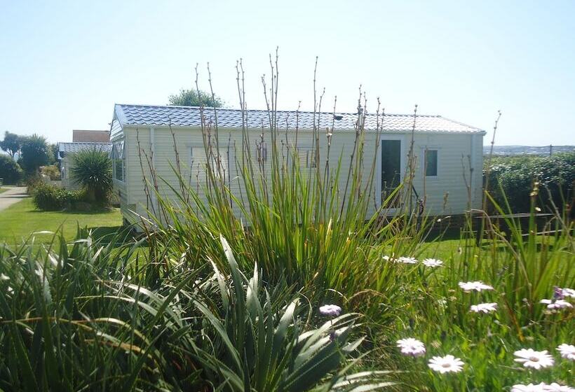 ホテル Mounts Bay Caravan Park