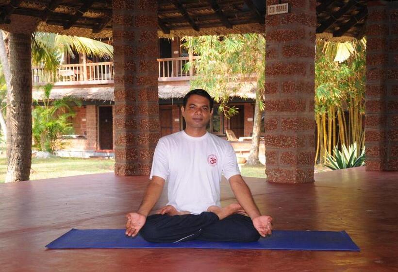 Veda Wellness B&b And Yoga Centre