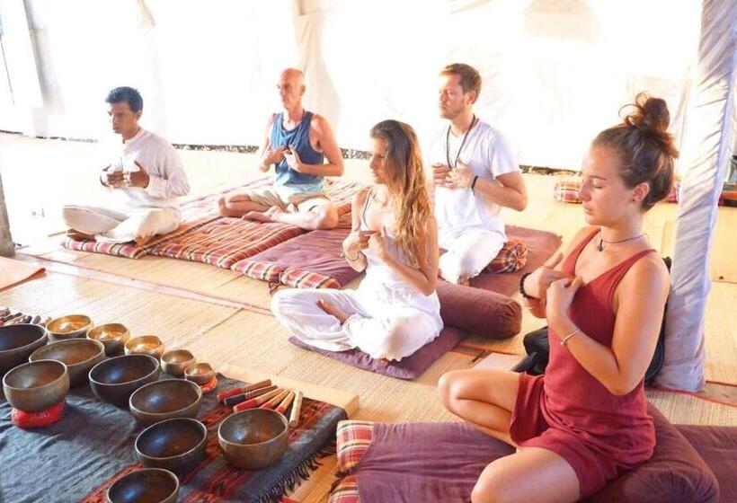 Veda Wellness B&b And Yoga Centre