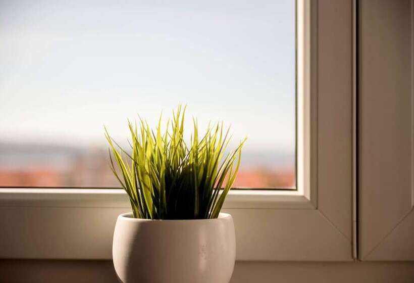 Apartments Villa Maria