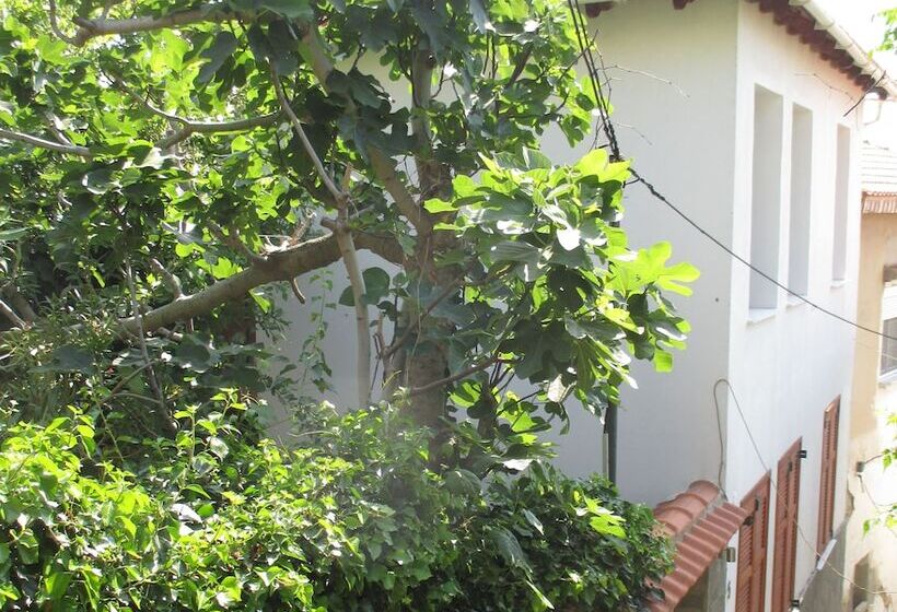 Castle Home Apartments