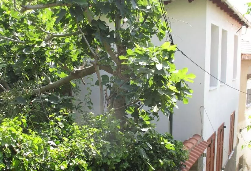 Castle Home Apartments