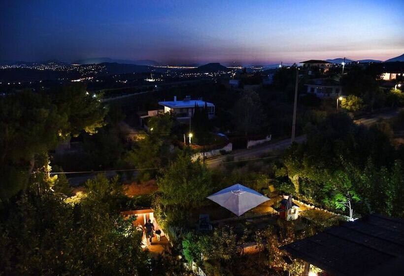 House With An Amazing View