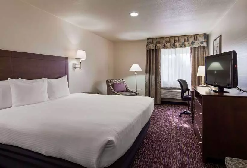 Best Western Socorro Hotel & Suites