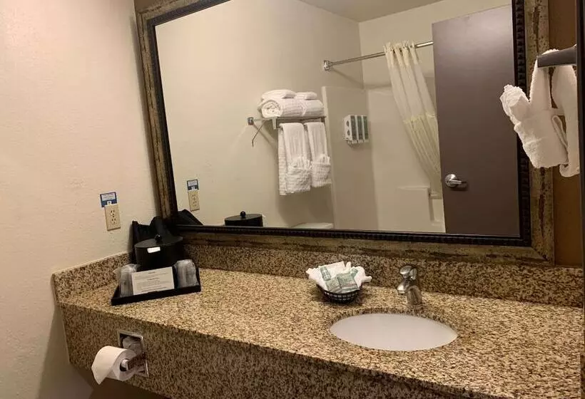 酒店 Best Western Woodburn Inn