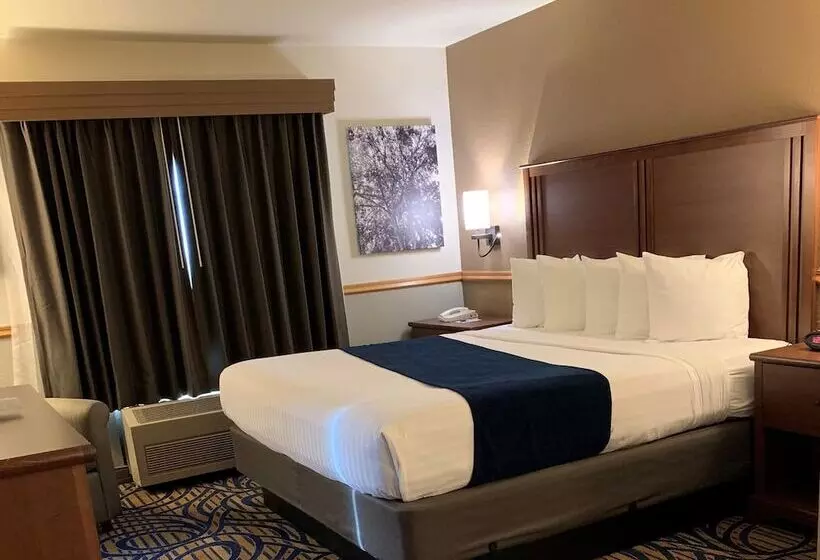 酒店 Best Western Woodburn Inn