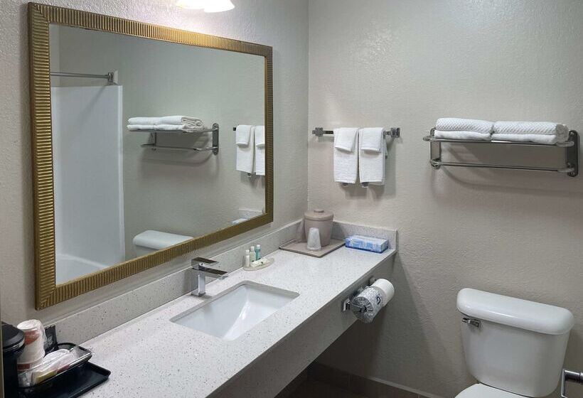 فندق Quality Inn & Suites