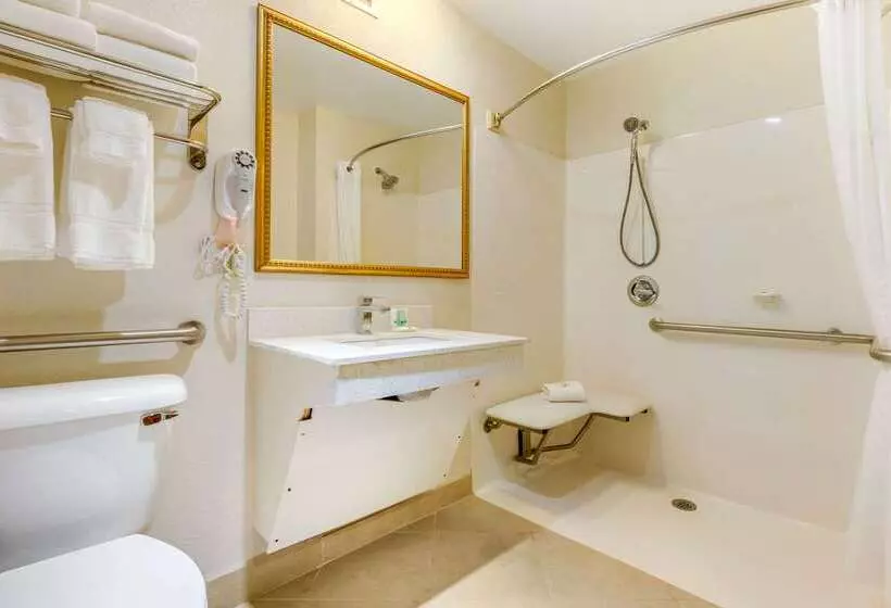 Отель Quality Inn & Suites