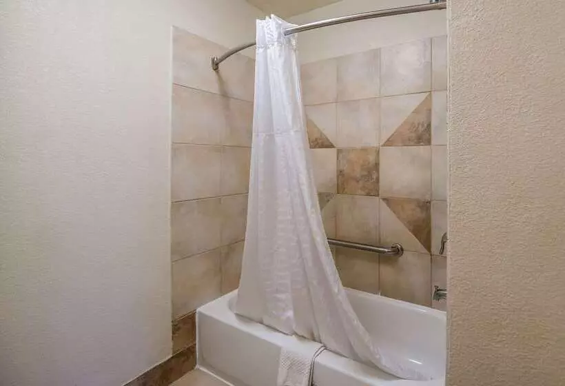 Hotel Quality Inn & Suites Lufkin