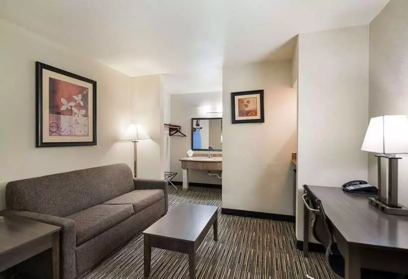 Hotel Quality Inn & Suites Lufkin