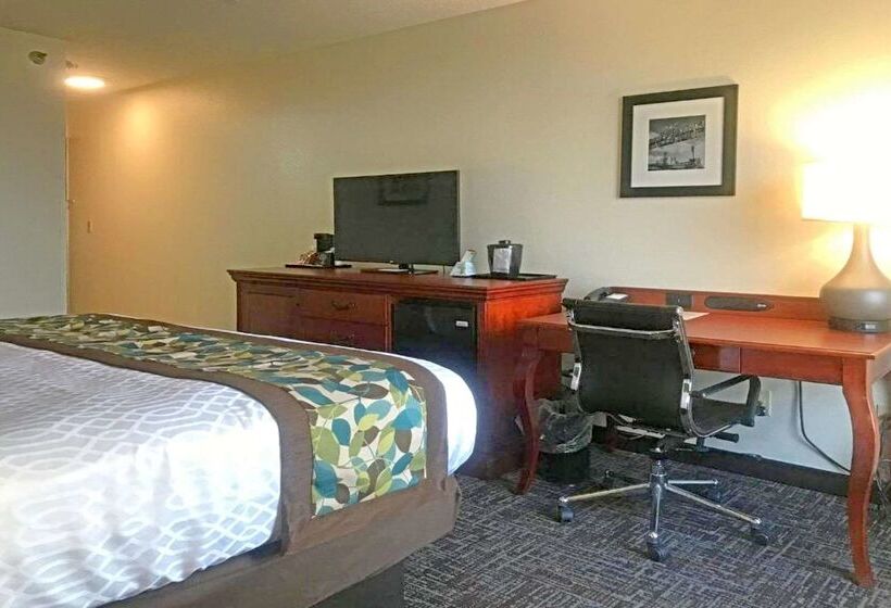 هتل Rodeway Inn & Suites