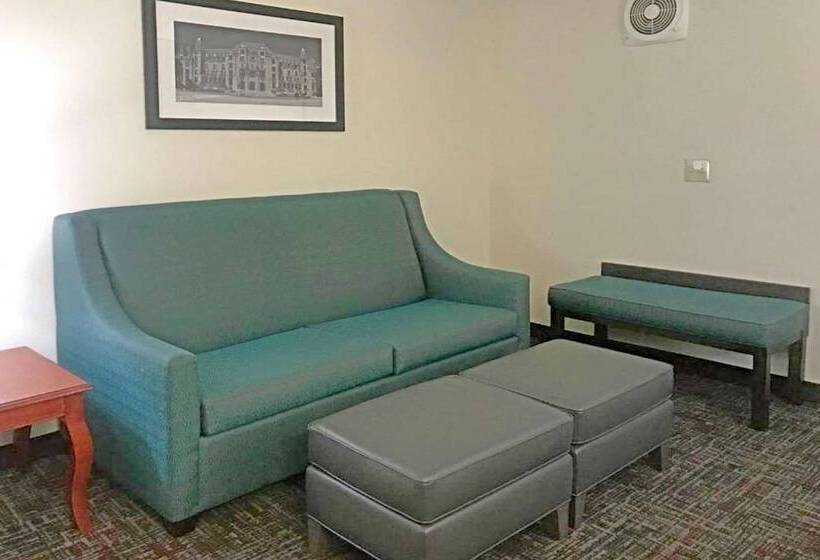 هتل Rodeway Inn & Suites