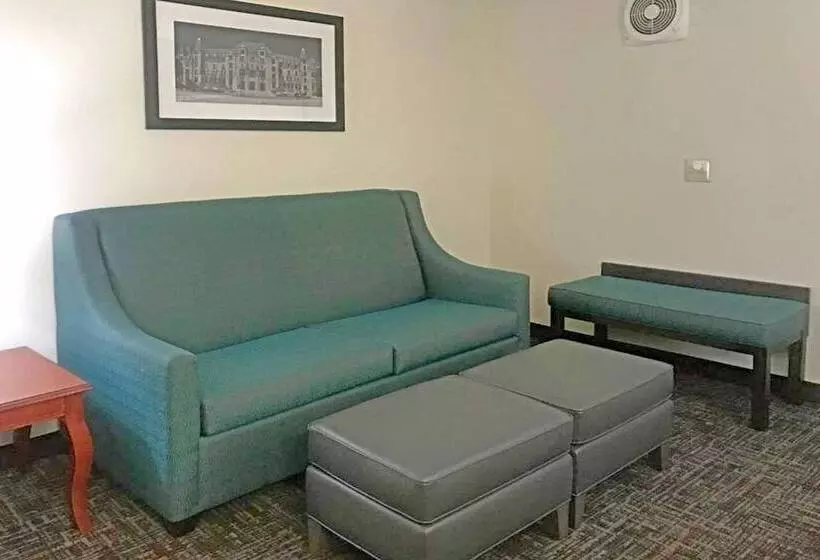 ホテル Rodeway Inn & Suites