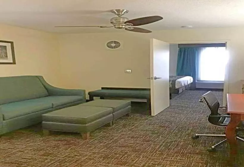 ホテル Rodeway Inn & Suites