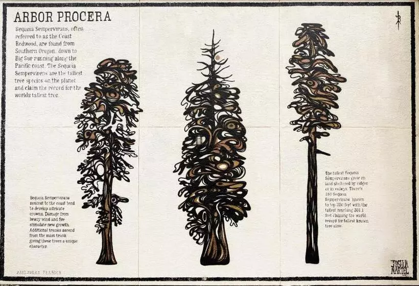 酒店 The Redwood Riverwalk, A Boutique