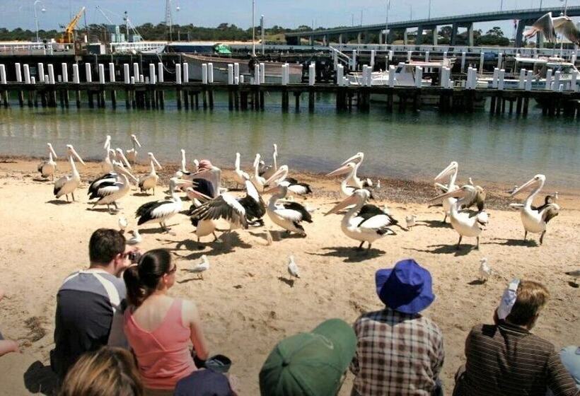 Apartment With Views