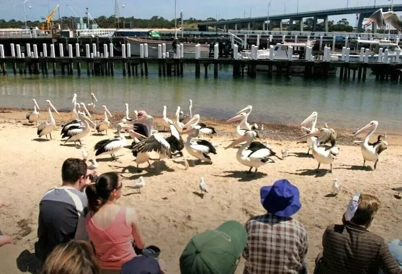Apartment With Views