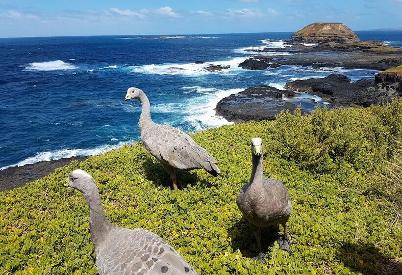 Apartment With Views