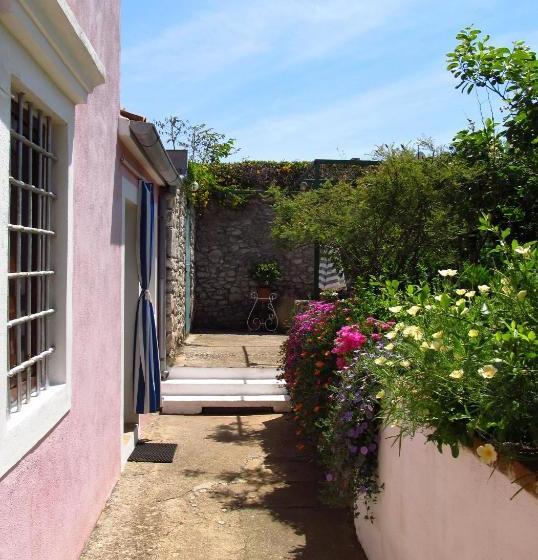 Anita  Apartment Danica