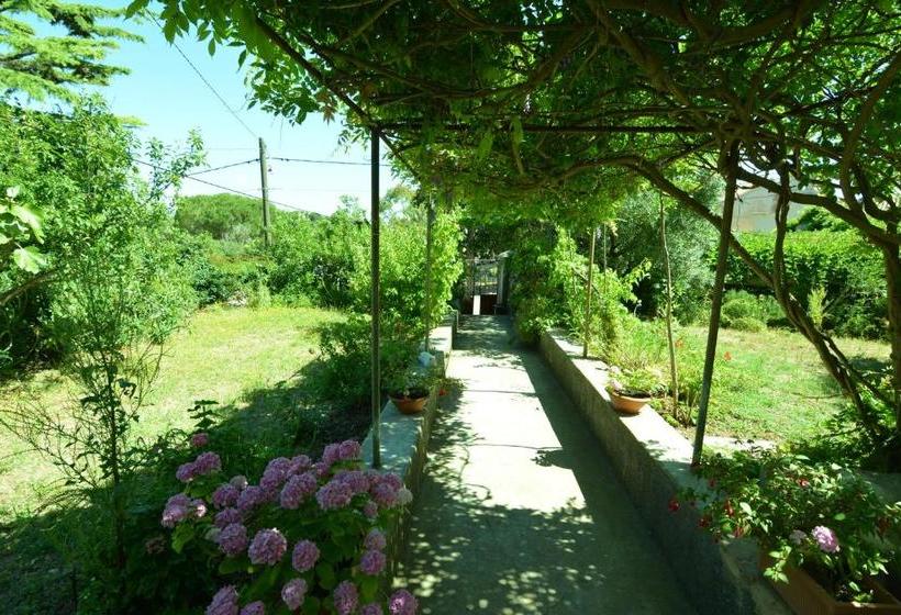 Renata  Apartment Renata