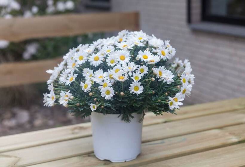 Hostel 2 Hannover Laatzen