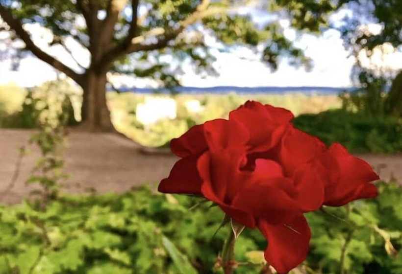 Pensão Gästezimmer Am Weinberg