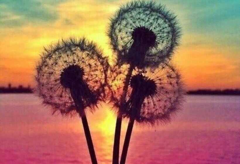 Pensão Gästezimmer Am Weinberg