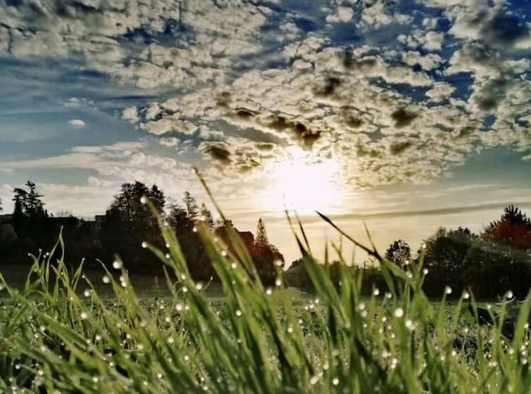 Pensão Gästezimmer Am Weinberg