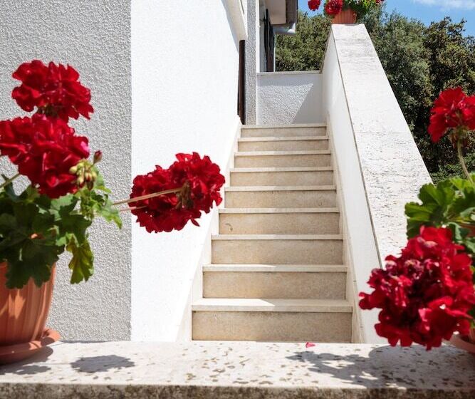 Nice Cozy Apartments C52