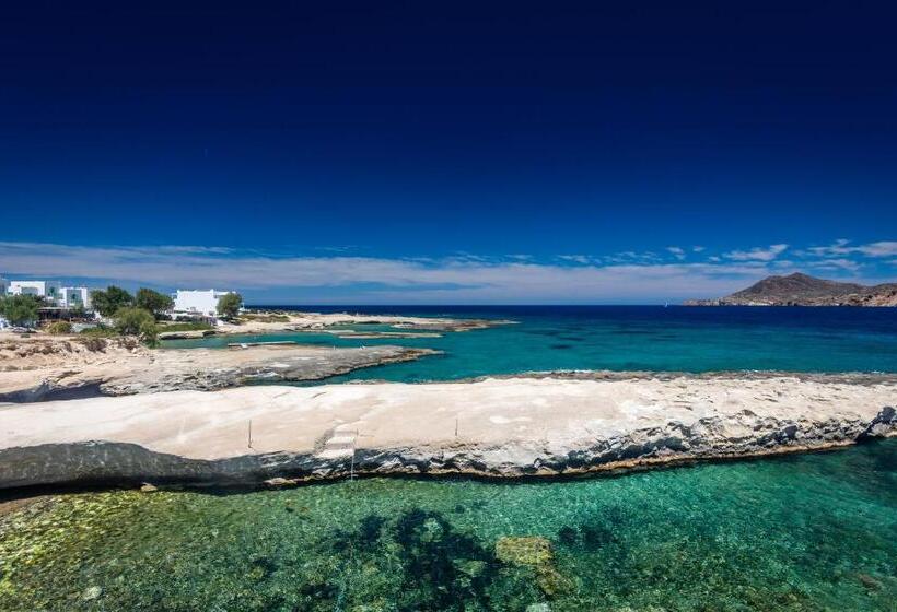 Artemis By Akroploro