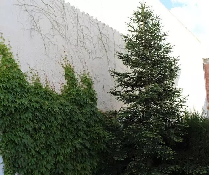 Villa Rural Campillo De Arenas