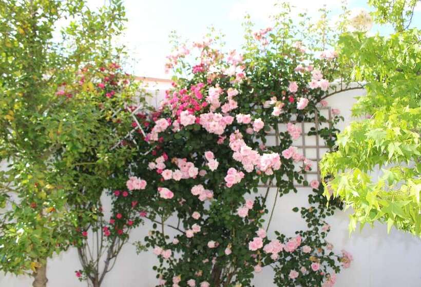 Villa Rural Campillo De Arenas