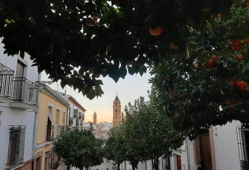 Apartamento Turístico La Vega