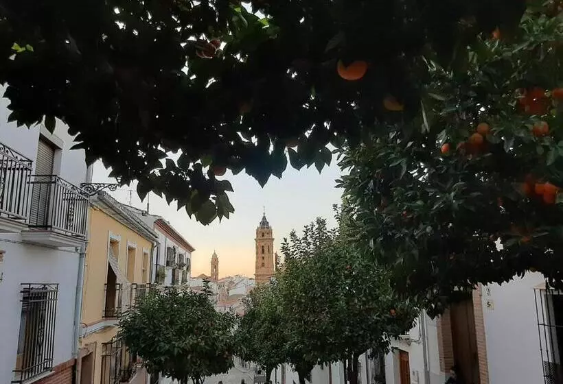 Apartamento Turístico La Vega