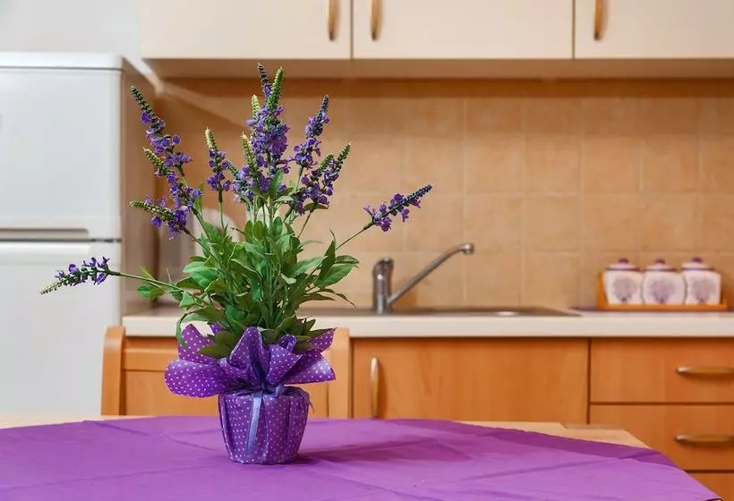 Apartments Mande And Kate