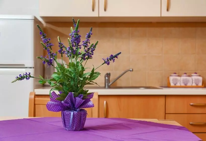 Apartments Mande And Kate