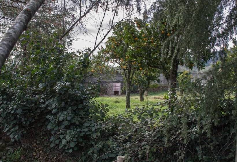 Pension Cr La Flor Del Naranjo