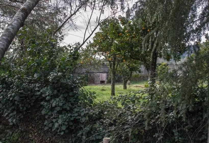 ペンション Cr La Flor Del Naranjo