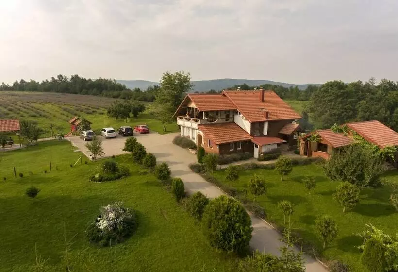 Apartmani Lavanda