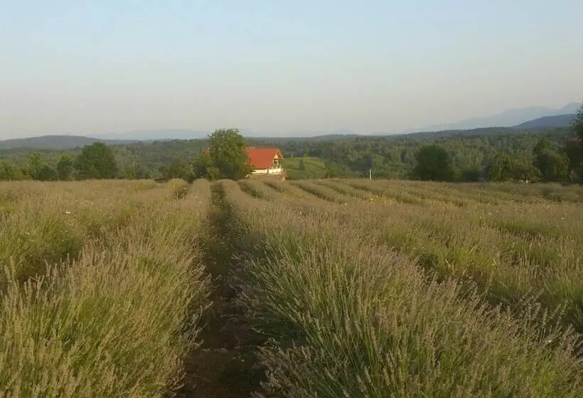 Apartmani Lavanda