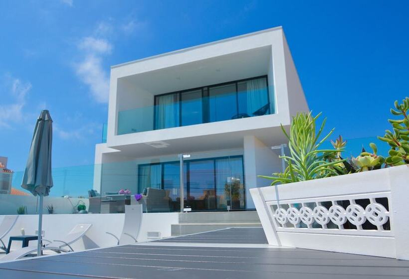 Biscuttela Vicentina