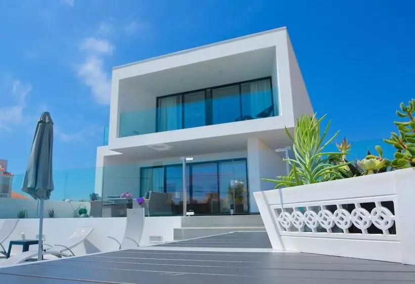 Biscuttela Vicentina