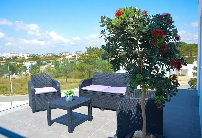 Biscuttela Vicentina