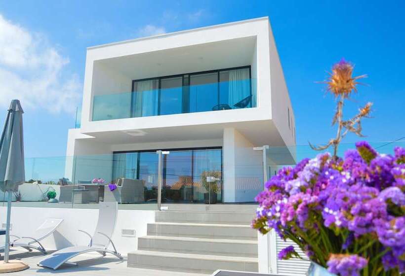 Biscuttela Vicentina