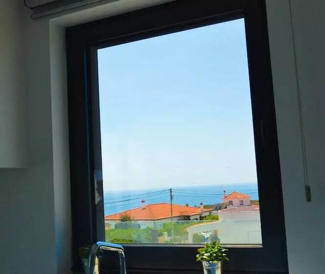 Biscuttela Vicentina