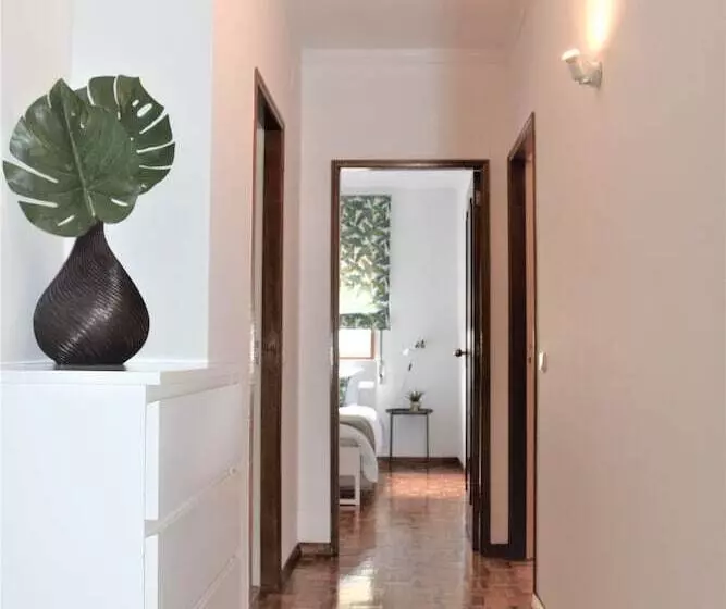 Accommodation Flat Damião De Gois