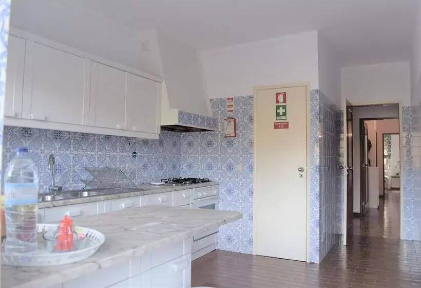 Accommodation Flat Damião De Gois